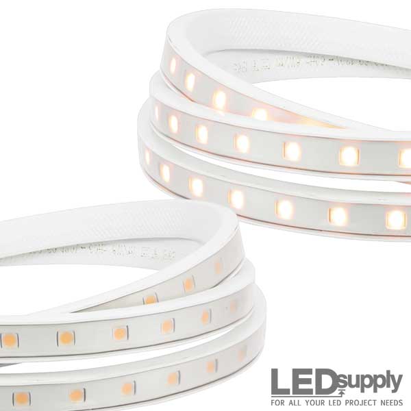 Customer LED Projects - 24V Flex Strip provides Mind Bending Bar and  Restaurant Lighting
