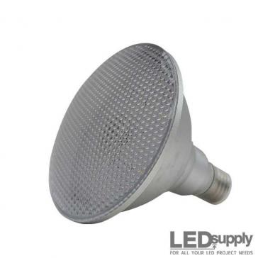 PAR38 LED Flood Light