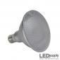 PAR38 LED Flood Light