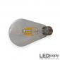 Antique Edison LED Filament Bulb